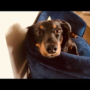 Meet your Posher, Eliza